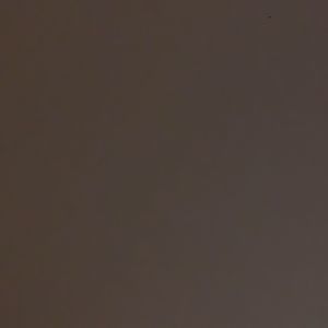 Meet your Posher, Benedicto